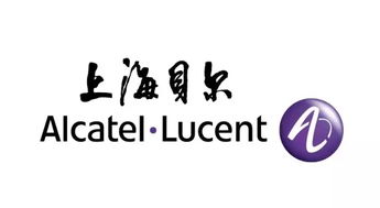 解析报告中的应用技术护深一步上海贝尔信息安全服务体系与为企业护航之再标轨打造海元洞资产全人链守赋报告项目护航手册信息化护航全生本制修动全软体服问